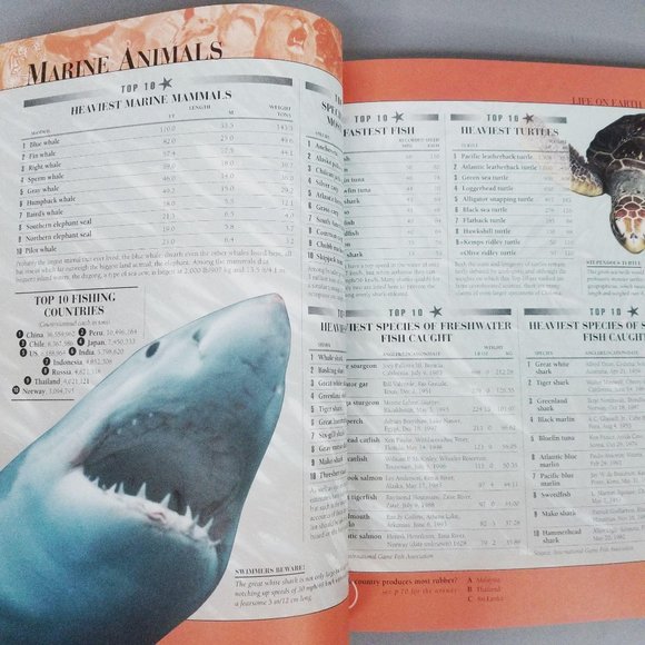 Top 10 Of Everything 2000 Edition Russell Ash - Picture 10 of 13